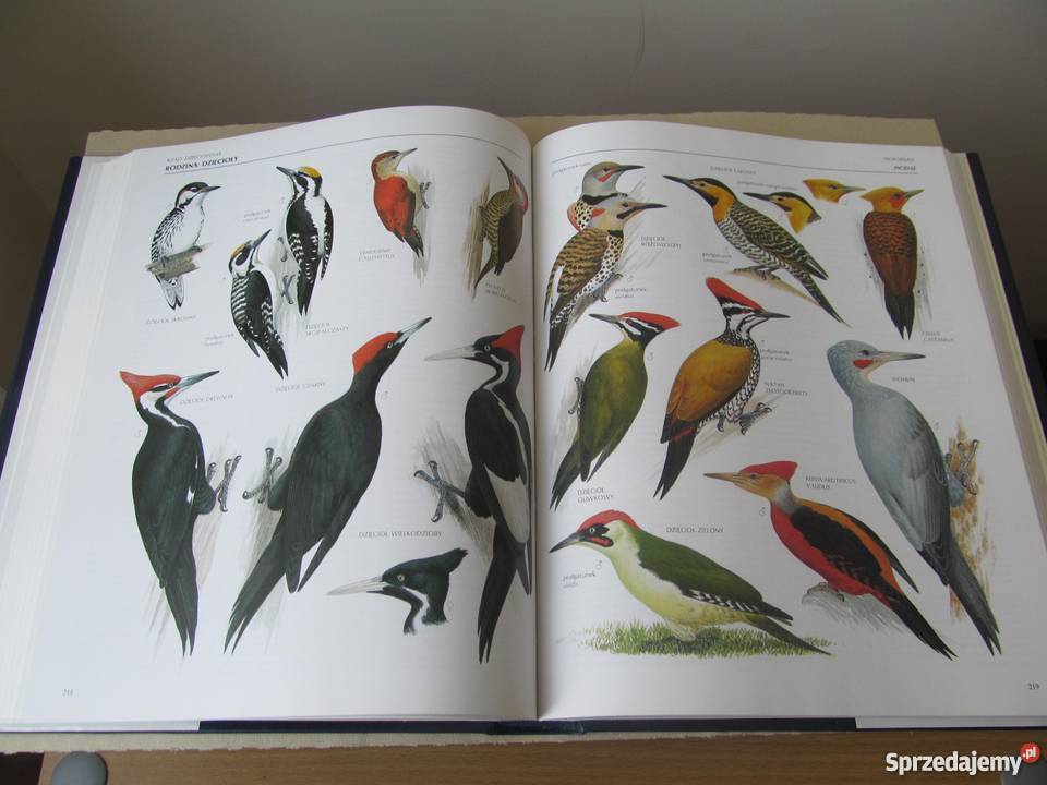 WIELKA ENCYKLOPEDIA PTAKÓW Perrins ChM lubuskie Zielona Góra