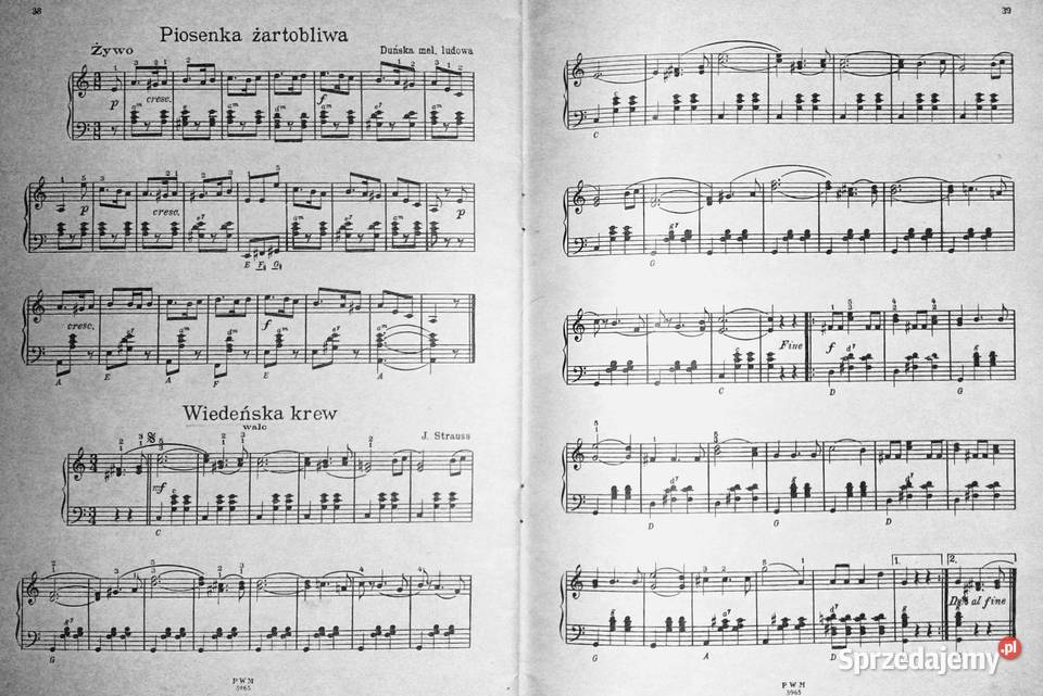 Skarbczyk akordeonisty Józef Powroźniak Książki i Podręczniki lubelskie Chełm