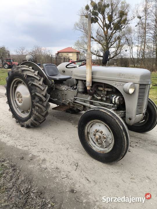 Ciągnik rolniczy Ferguson tea 20 tea20 traktor Pułtusk