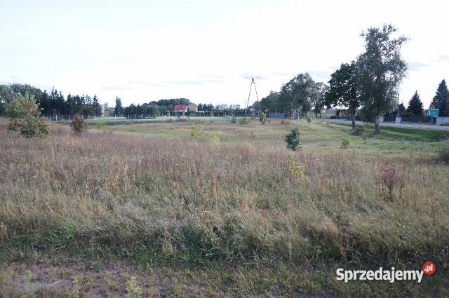 Pułtusk Kleszewo 35 ha DOSKONAŁA POD INWESTYCJĘ Grunty i działki Pułtusk