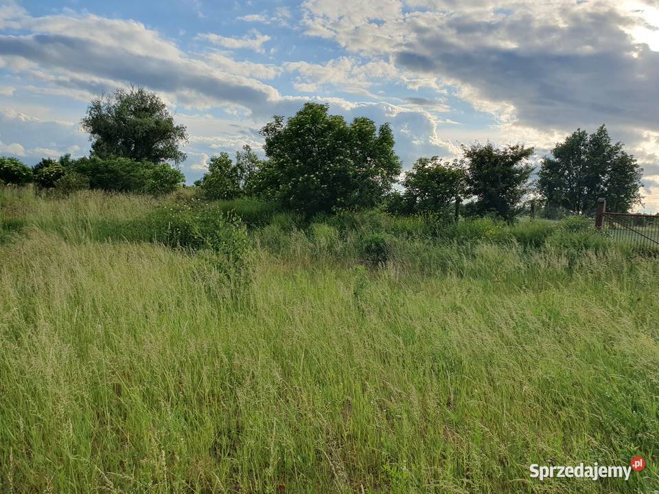 Ogrodzona działka budowlana Grobelno Malbork 120zł/m2