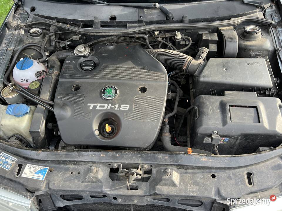 Skoda Octavia 19 TDI Elegance Xenon Skóra 2004 Wola Korybutowa-Kolonia sprzedam
