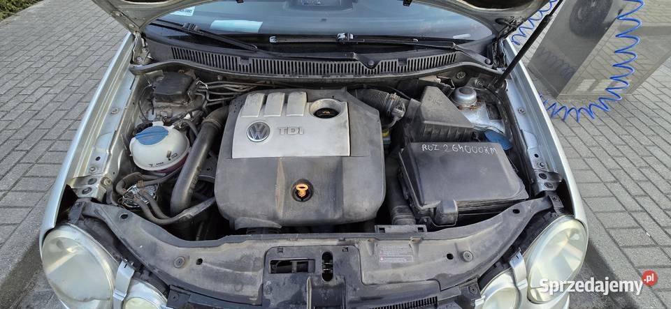 Volkswagen Polo Rok produkcji 2004 pomorskie