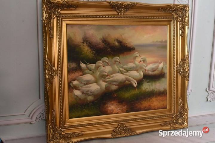 Rodzina Kaczek Pływające Kaczki Kaczka Złota sprzedam