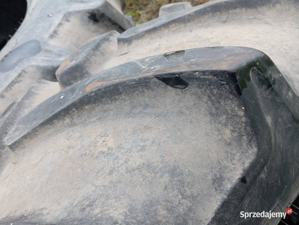 Opony 6006538 4806528