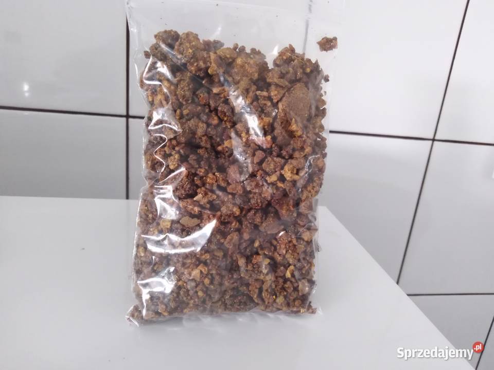 Sprzedam propolis wielkopolskie Przedecz