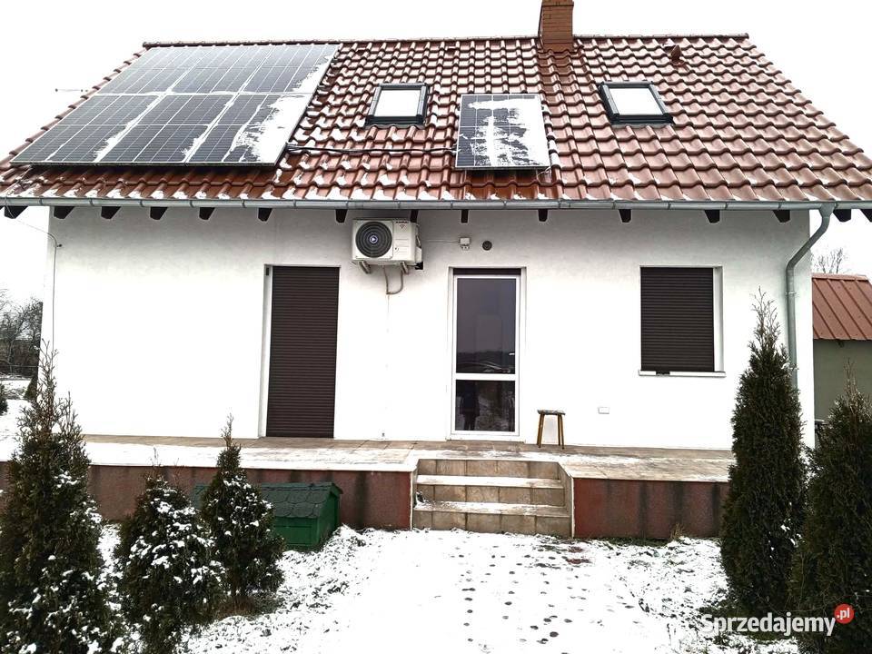 Prawie PÓŁ HEKTARA STAW DOM Siercz woj lubuskie wielkopolskie Poznań