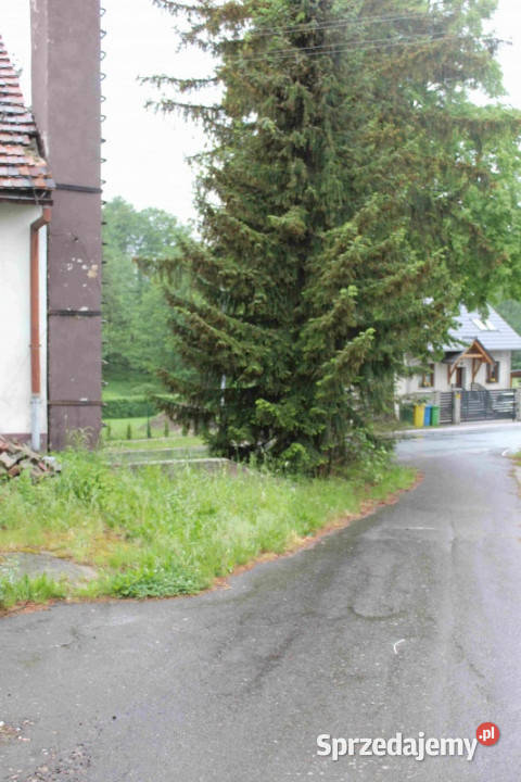 Wynajmę budynek możliwość wykupu na własność papa Żeliszów