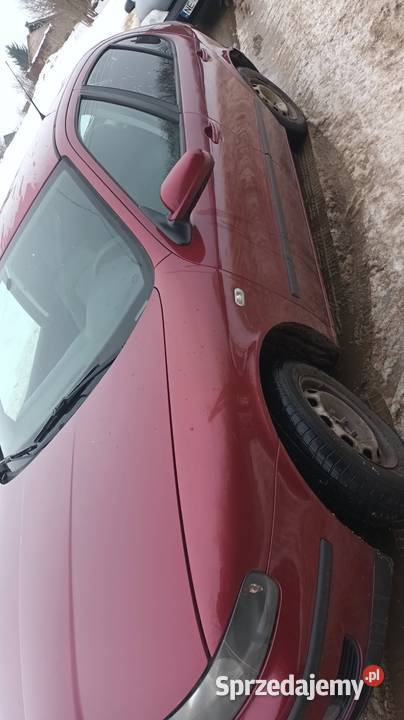 Seat leon Iława sprzedam