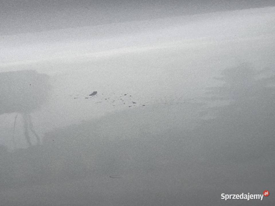 Drzwi lewe przednie skoda octavia 2 Bochnia sprzedam