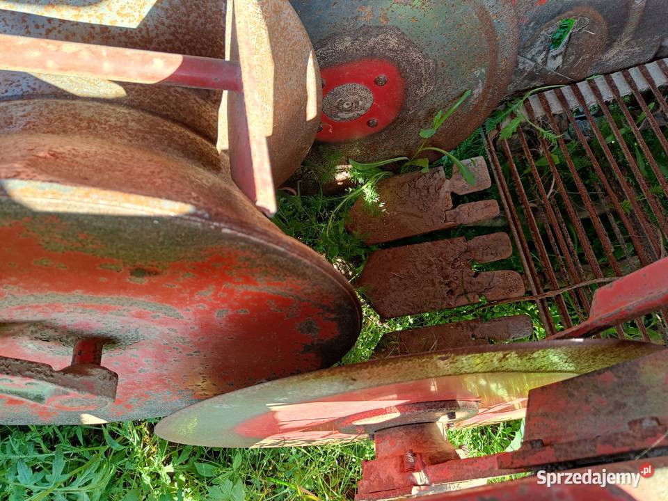 Kombajn grimme hl 750 do ziemniaków wielkopolskie Brodnica sprzedam