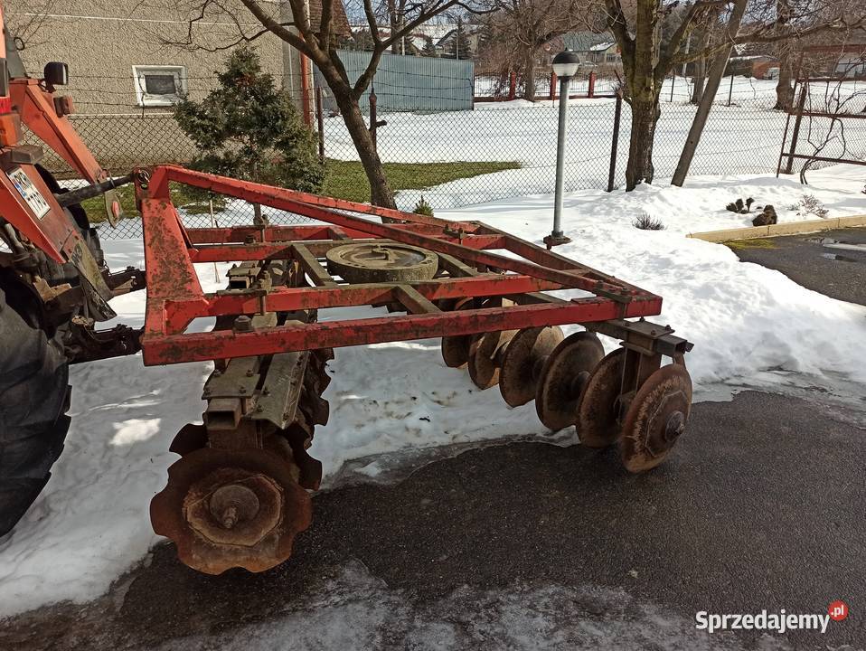 Brona talerzowa Talerzówka Brony podkarpackie Iwonicz