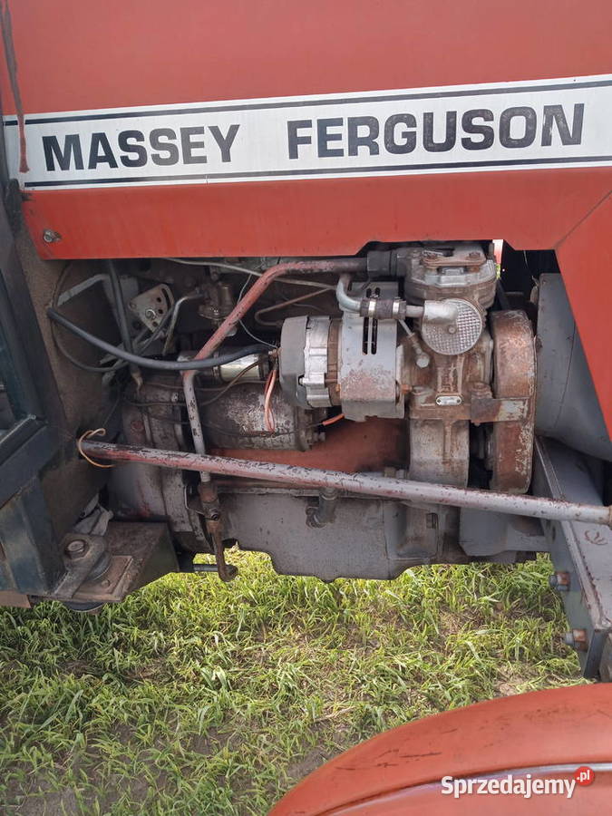 Massey Ferguson Koźminek