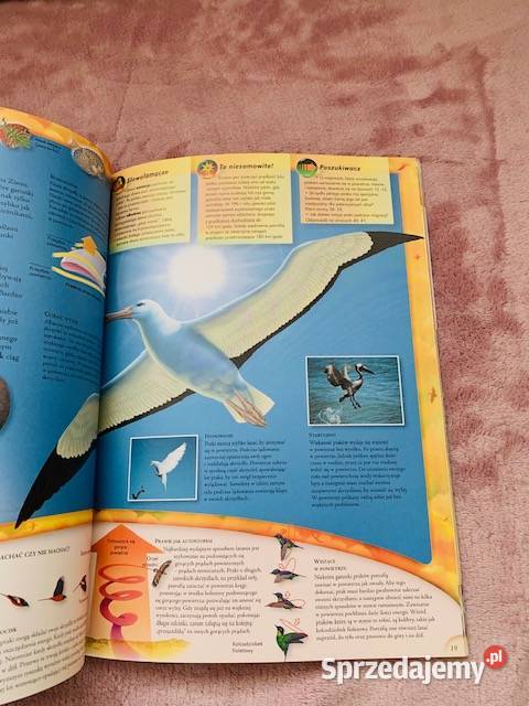 Ptaki Poszukiwacze Edward S Brinkley mazowieckie Warszawa