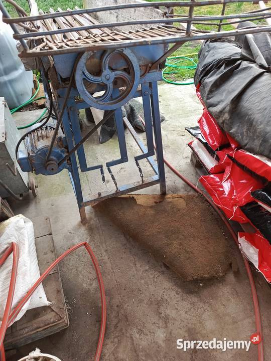 Maszyna do cebuli kujawsko-pomorskie Gruta