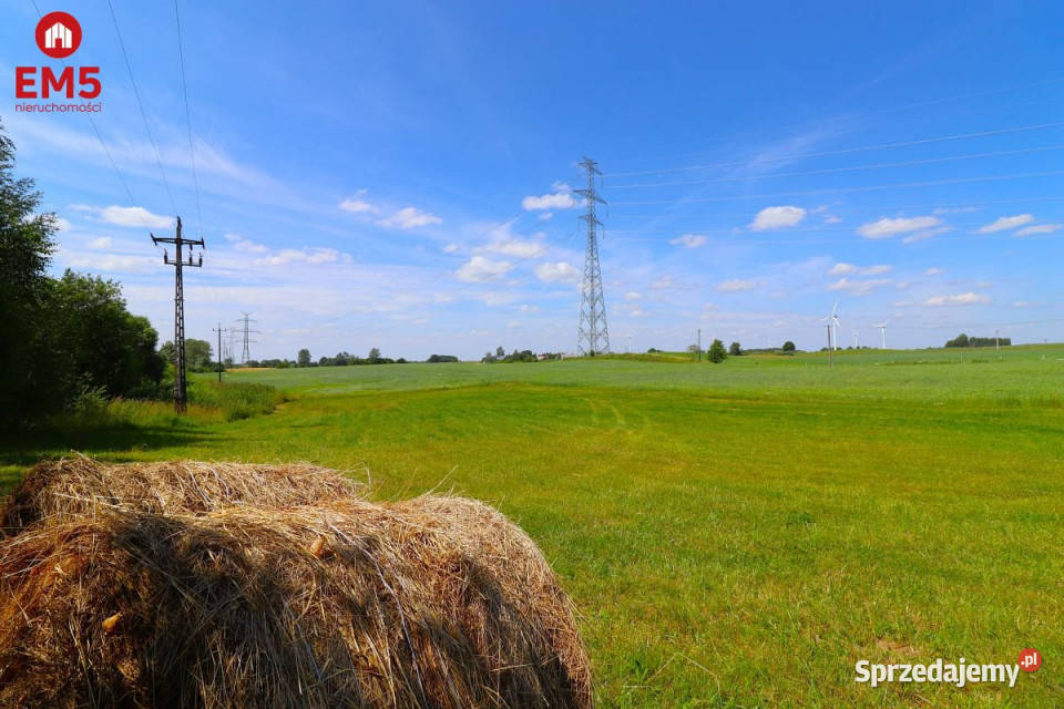 Ziemia 3000m2 Turówka Nowa szambo sprzedam