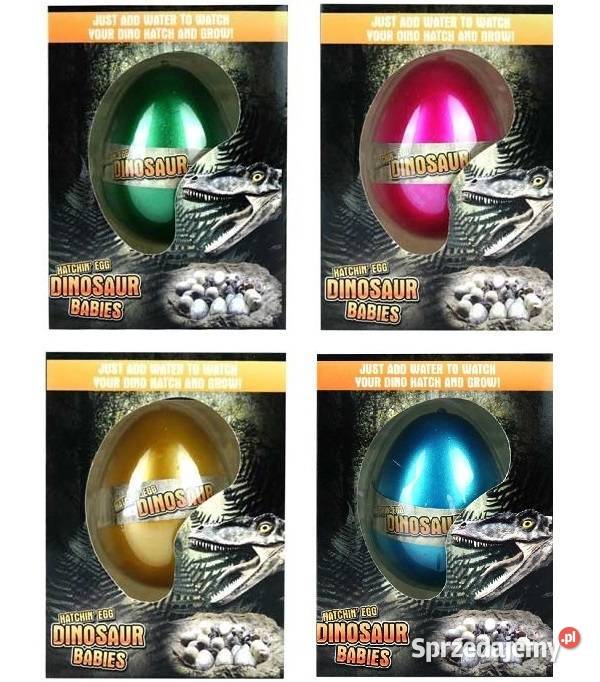 Dinozaur Jajo do Wyklucia Wzrostu MAGIC Dino EGG CE  Mogilany