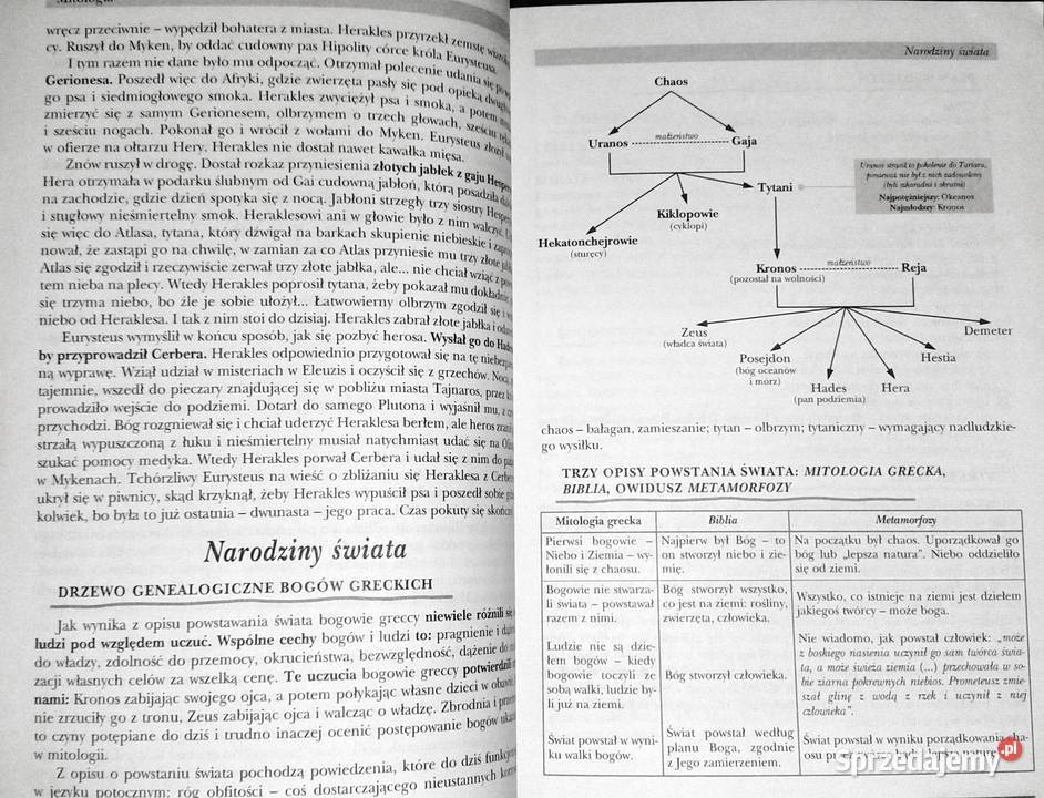 Powtórka z literatury kl 1 Barbara Włodarczyk lubelskie Chełm sprzedam