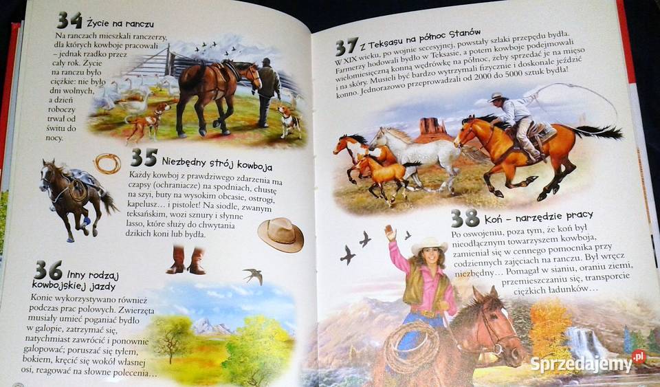 101 ciekawostek Konie Anais Puygrenier miękka