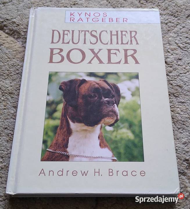 Deutscher Boxer von Andrew H Brace pomorskie
