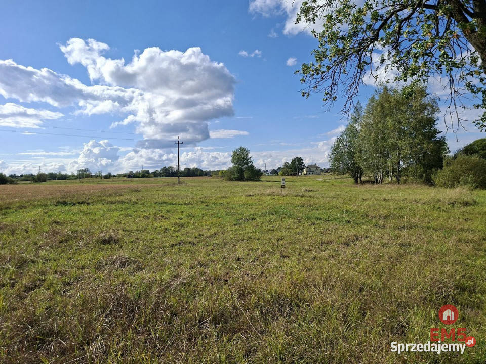 Grunt 21827m2 Kuriany Sprzedaż