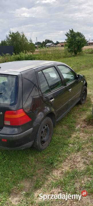 Volkswagen Golf IV 16 Uszkodzony na części Golf Siostrzytów