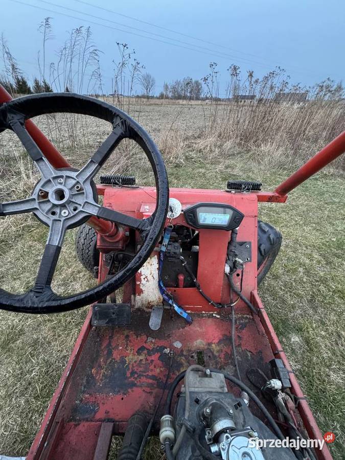 Buggy Pozostałe Lublin