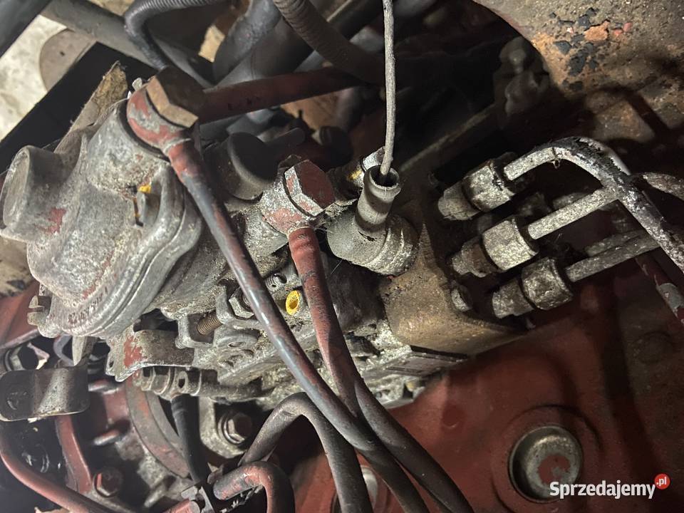 Pompa Wtryskowa Rotacyjna Bosch 0460426170 Iveco