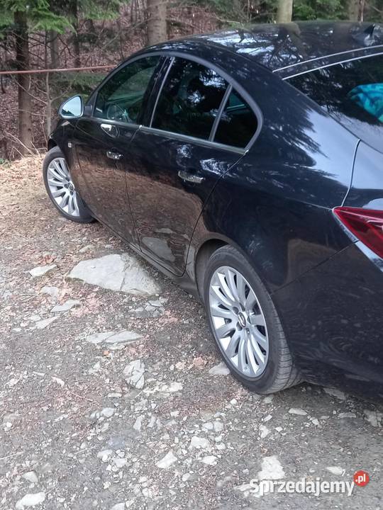 Opel Insignia 20 diesel 170 serwisowany isofix Suszec