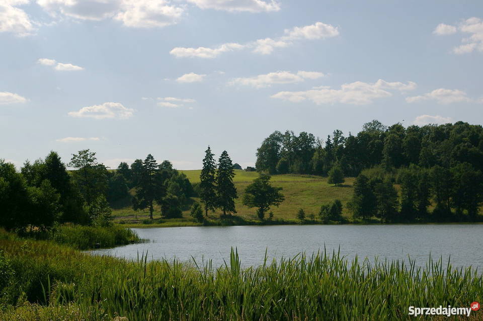 50 ha nieruchomość siedliskowa nad jeziorem. Szeskie Wzgórza