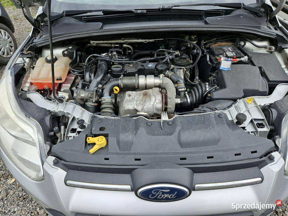 Ford Focus wymianie rozrządu Klimatyzacja śląskie Ruda Śląska sprzedam