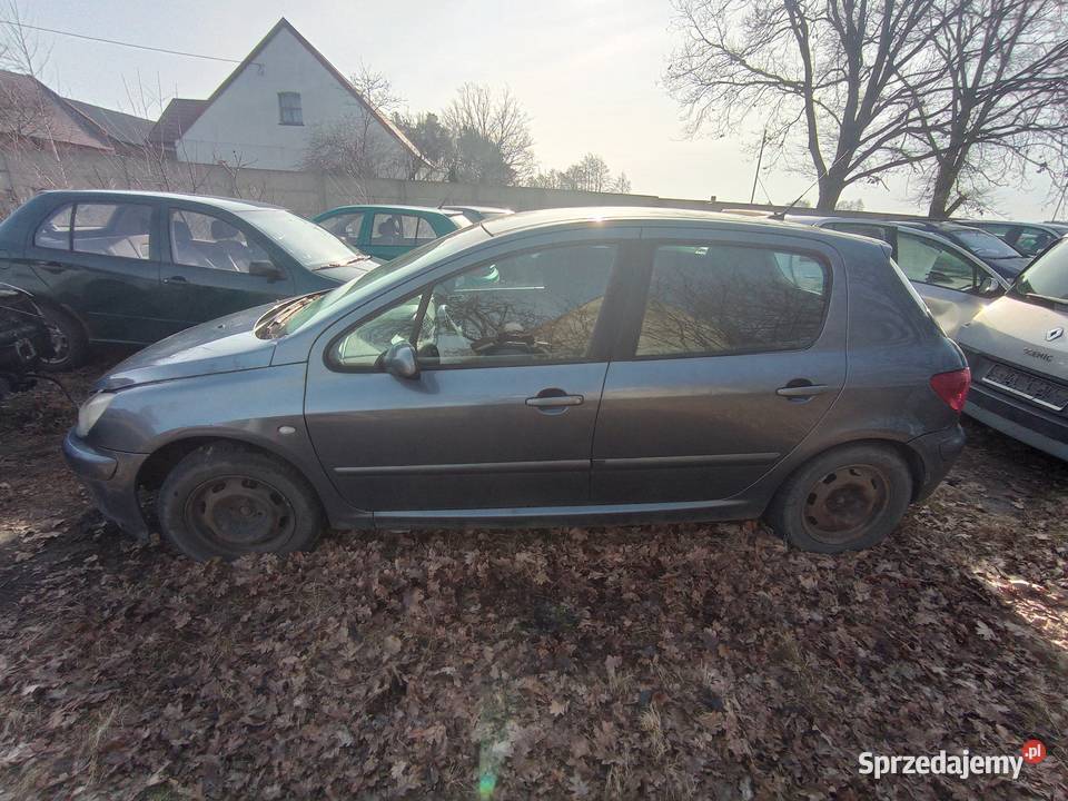 Peugeot 307 16 80 kW 2005 r dawca części Szklarka Myślniewska