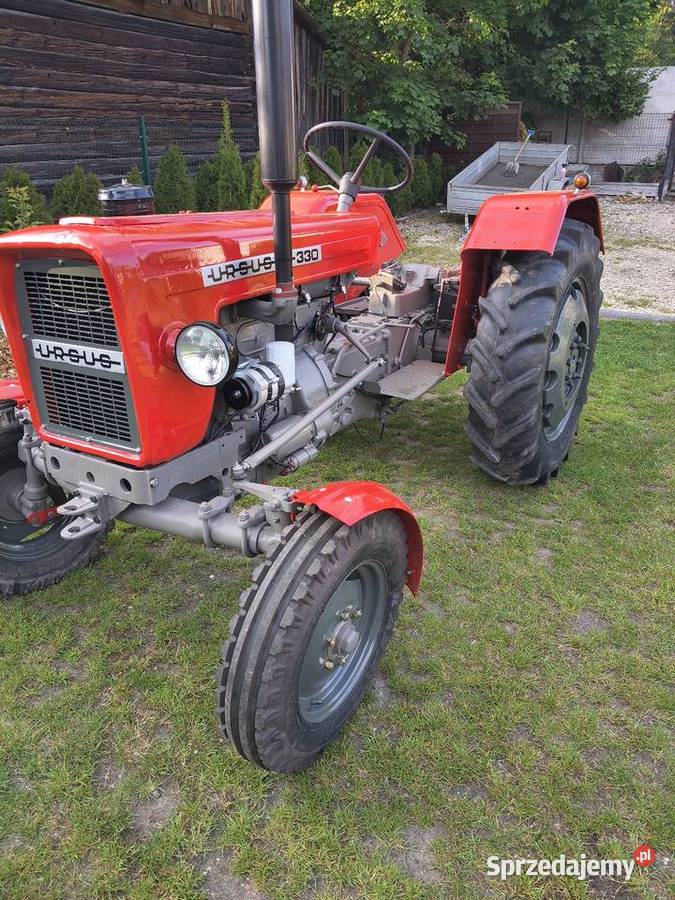 Ursus C330 zarejestrowany 1973 świętokrzyskie