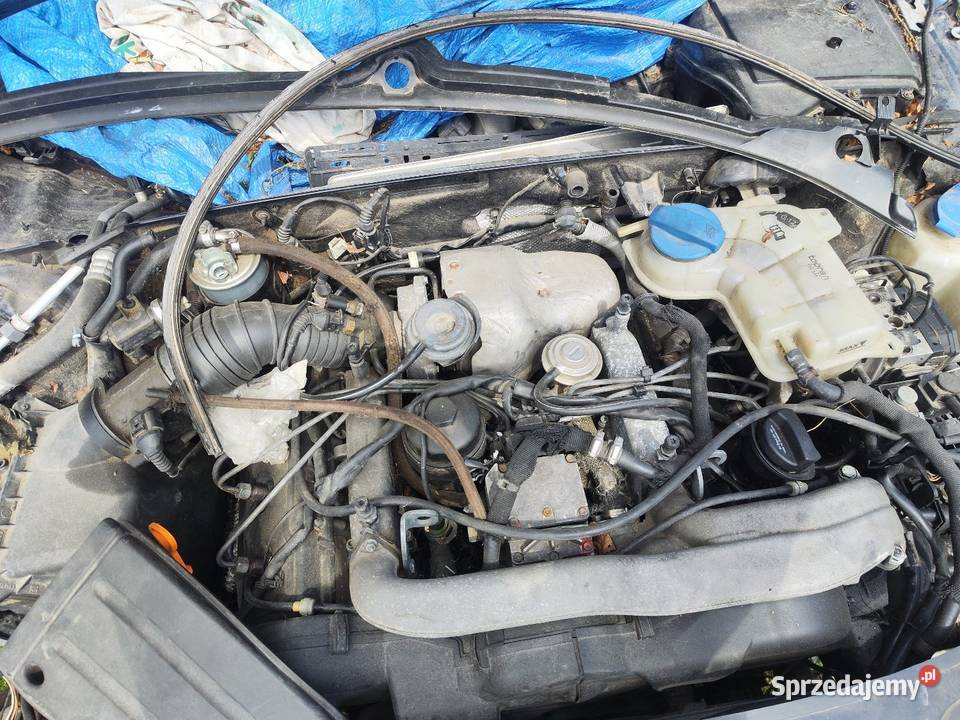 Części Audi a4b6 25 TDI LZ5L Rok produkcji 2003 Olecko