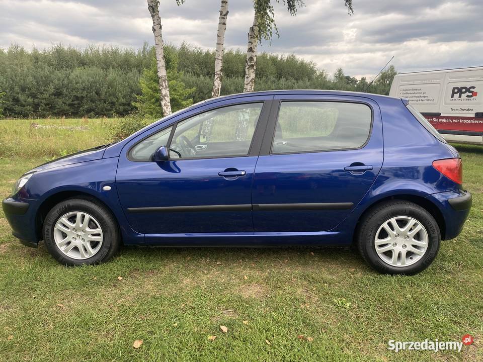 ŚLICZNY PEUGEOT 307 16 b