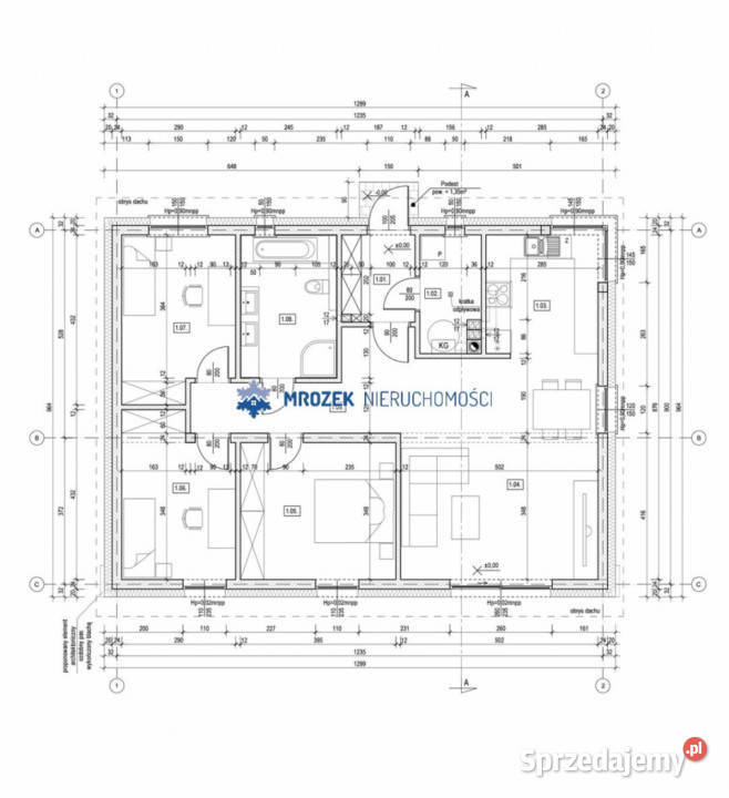 Dom wolnostojący sprzedam 9944 metry Kończyce Sprzedaż