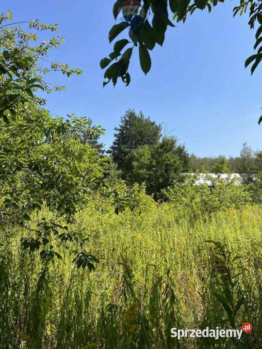 Działka jeszcze rolna rezerwacie 30m Łoś