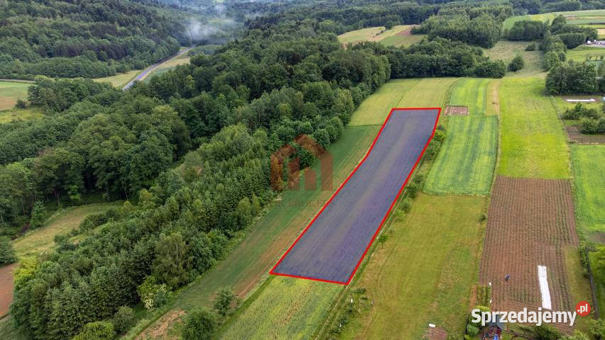 Grunt 2800m2 Zagorzyce podkarpackie