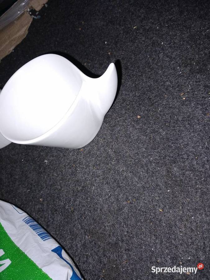 Witeks Extreme filiżanki spodki