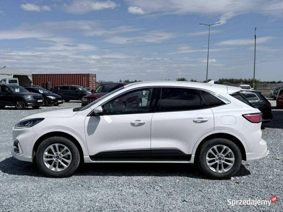 Ford Kuga 25 16V Duratec CVT Hybrid 2021r 95 Wojkowice