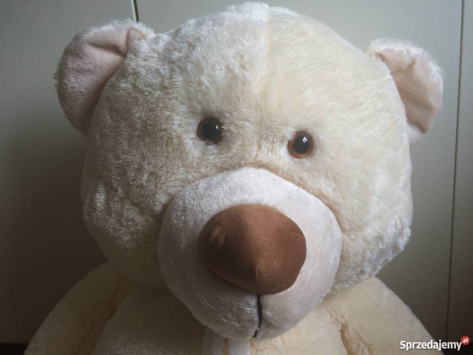 Ogromny pluszowy miś Kraków sprzedam