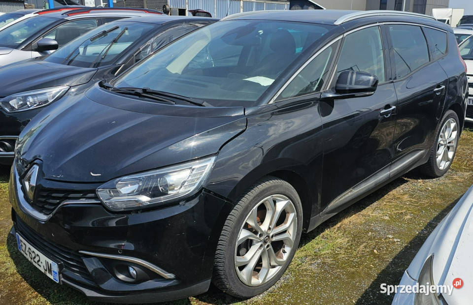Renault Grand Scenic 7osobowy 80 III 20162021 Pleszew