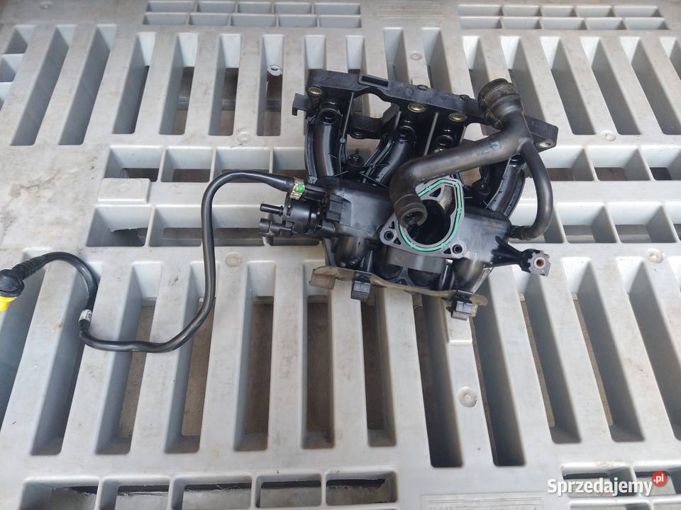 Kolektor SSący Dolotowy 55189565 Fiat Punto 2 12 kolektory ssące Silniki i osprzęt małopolskie Radziszów