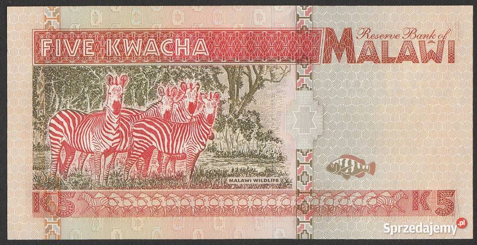Malawi 5 kwacha 1995 stan bankowy UNC Łódź