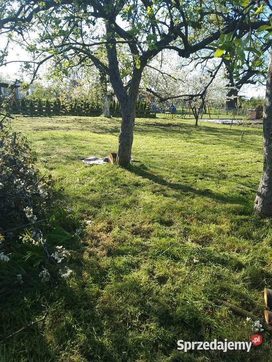 Sprzedam działkę ROD 370m2 Gostyń