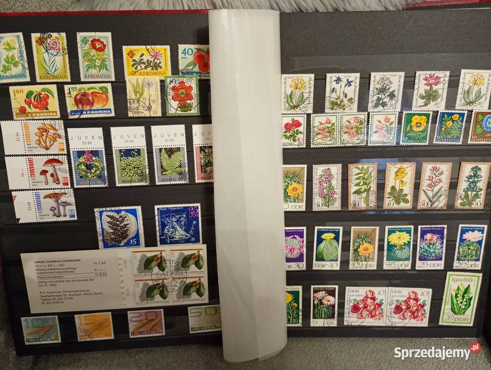 Duży album klaser ze starymi znaczkami Łowicz