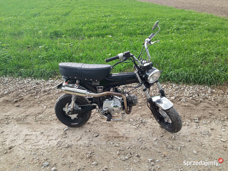 TNT city 50 taki Honda Dax Honda wielkopolskie Borek