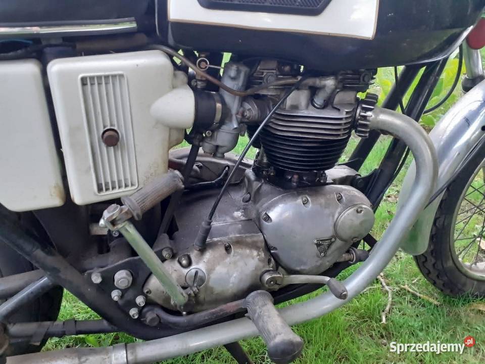 TRIUMPH t120 oryginał 1972 triumph bonneville Rok produkcji 1972 Poznań