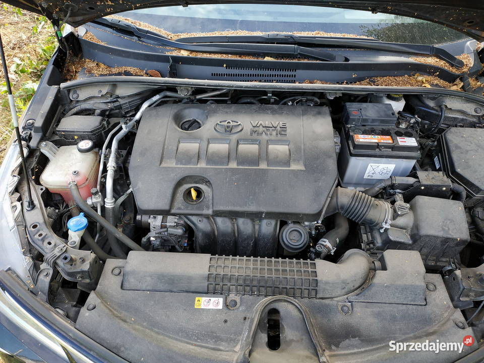 Syndyk sprzeda Toyota Corolla 16 Executive Rok produkcji 2019 Wrocław