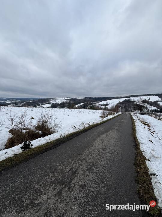 Działka 40 a z warunkami zabudowy Korzeniec
